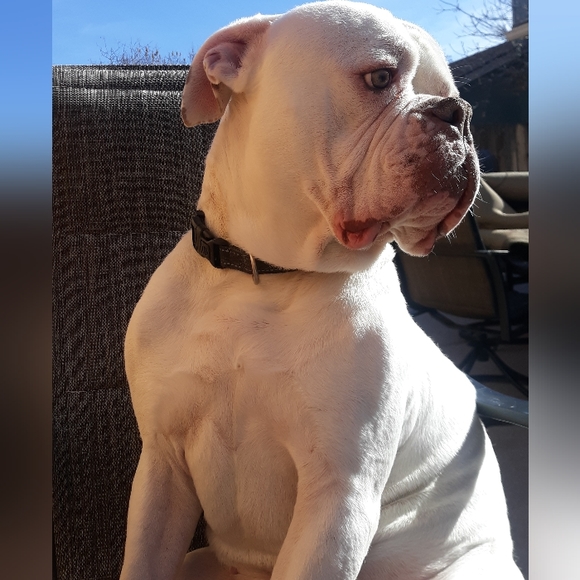 Halloween Party with @1605closet and Myself 🎃🤪🎉 Monday 6th - Picture 4 of 15